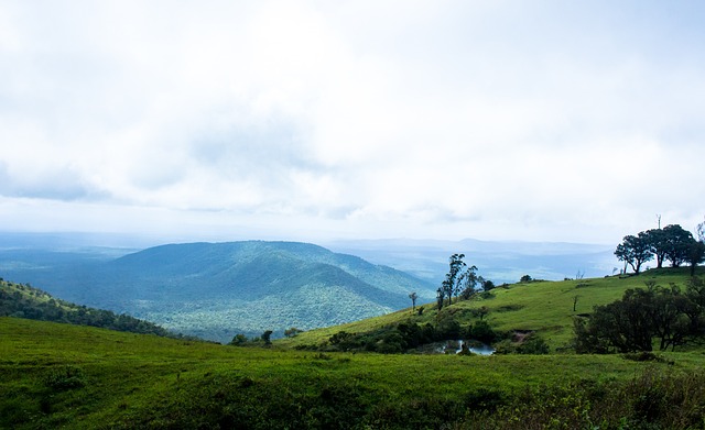 顺位选秀中 顺位选秀中