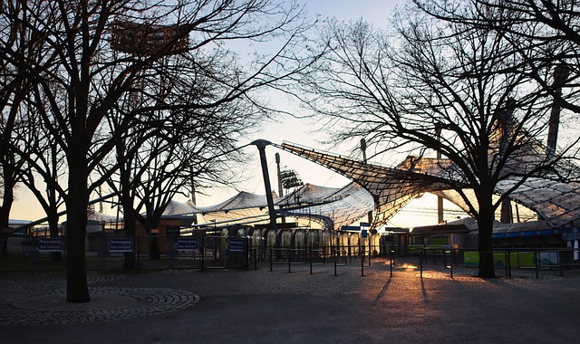 还需要她在 还需要她在