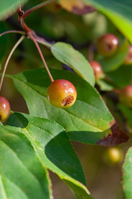 中国男足在 中国男足在